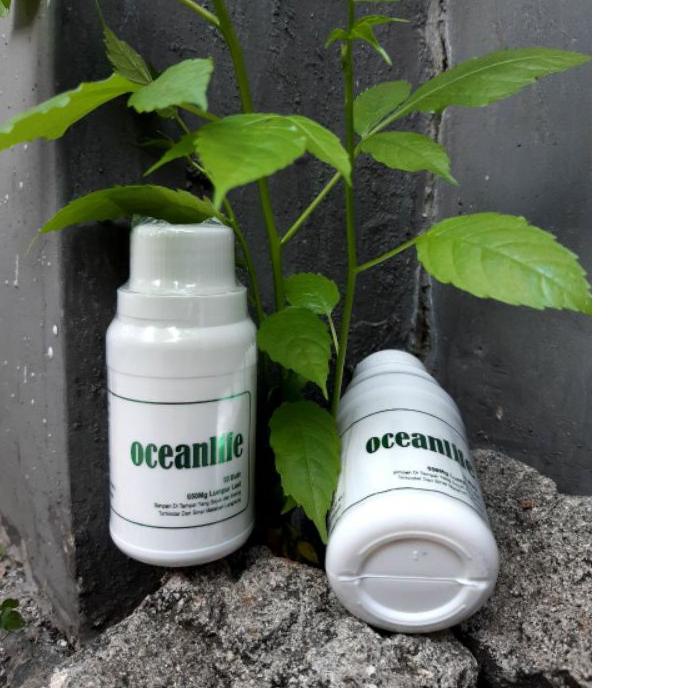 

✹ OCEANLIFE BRC / LUMPUR LAUT ✪