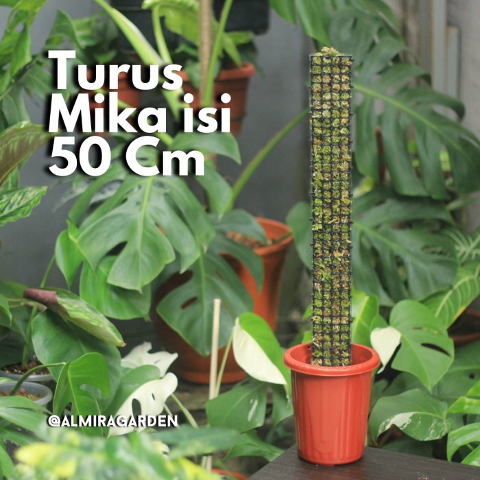 Terlaris Turus Mika / Fiber / Turus Lumut / Moss Pole / Tiang Penyangga Tanaman