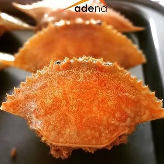 

Ketam Isi Adena Khas Belitong TERLARIS