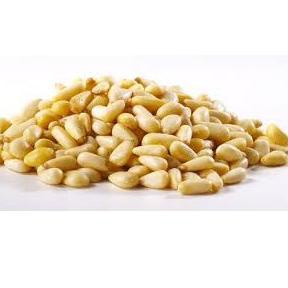

☜ Pine Nut 100 gr ✪