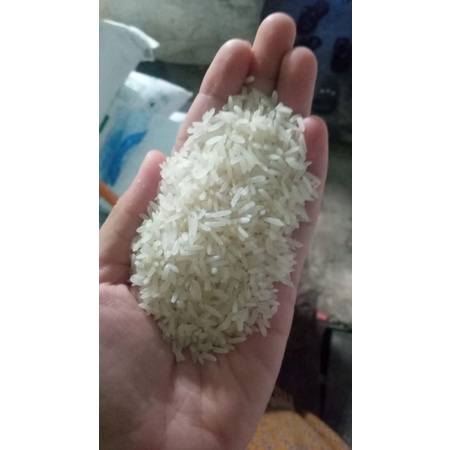 

beras mayang