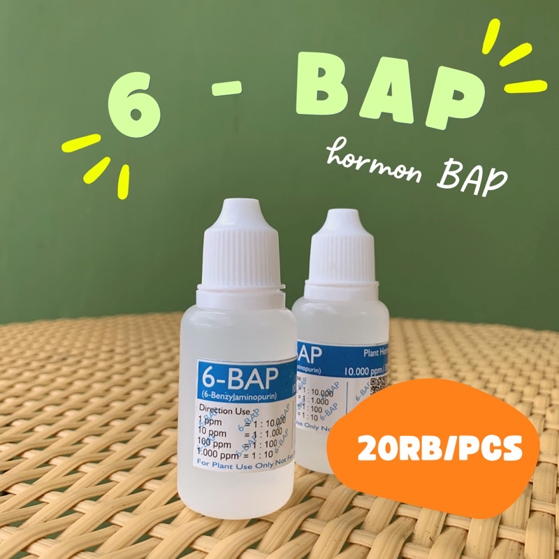 Hormon Anggrek BAP 6-BAP Benzylamino Purin