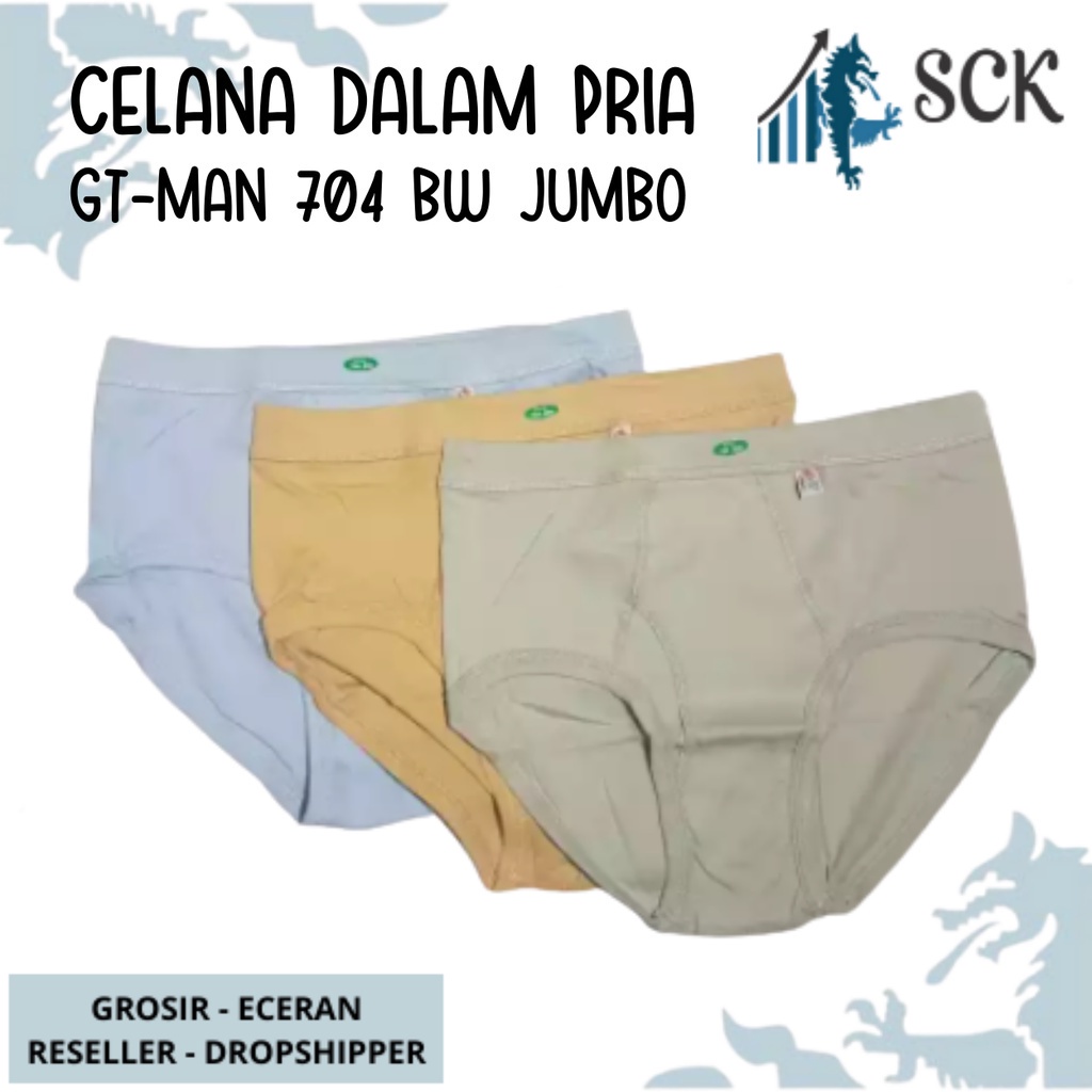 Celana Dalam Pria GT-MAN 704 WARNA JUMBO / CD Anti Selip GT MAN Murah / Pakaian Dalam Cowok - sckmenwear GROSIR