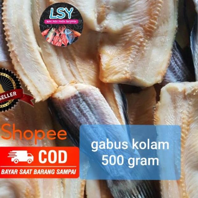 

☚ ikan asin gabus kolam size besar 500gr ○