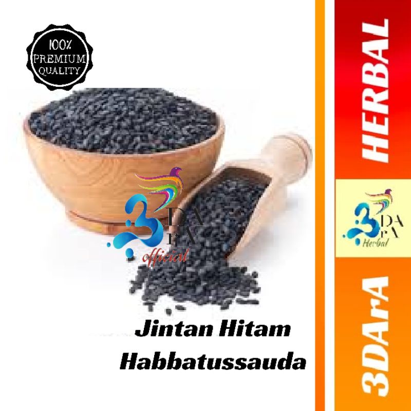 

Jintan Hitam Arab Biji 500gr - Habbatussauda Arab Premium