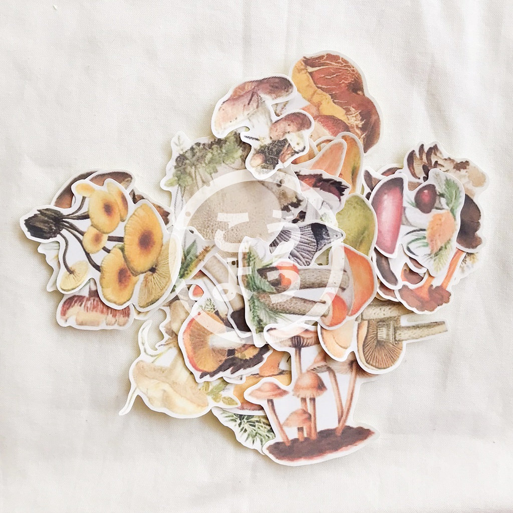 

35 pcs Stiker HVS Gambar Jamur / Mushroom untuk Jurnal / Scrapbook / Freebies (Pack P2)