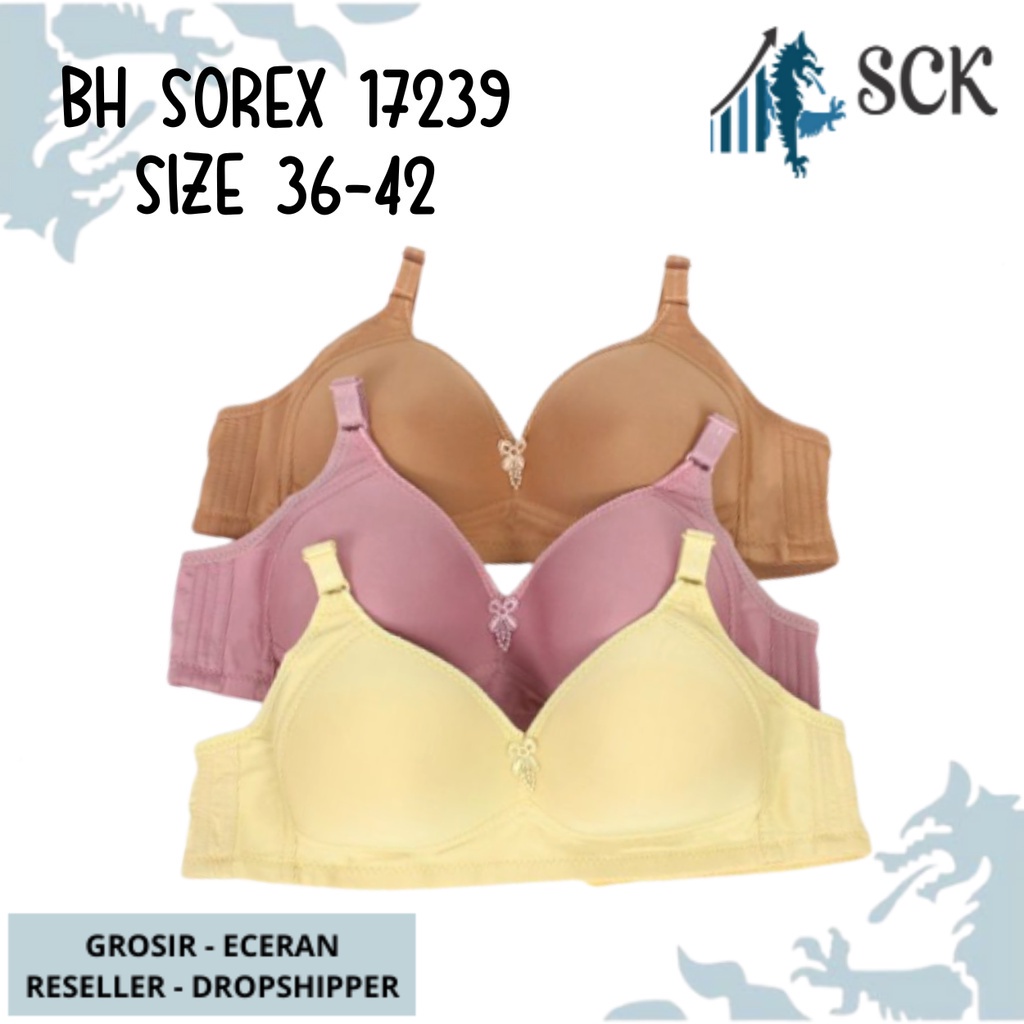 BH SOREX 17239 Busa Tipis / BH Pakaian Dalam BH SOREX - sckmenwear GROSIR