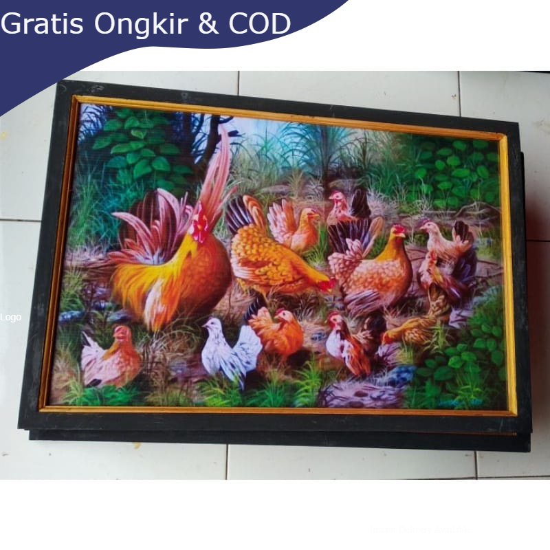 Lukisan murah poster murah hiasan dinding gambar ayam jago Kate family plus Bingkai ukuran 65×45