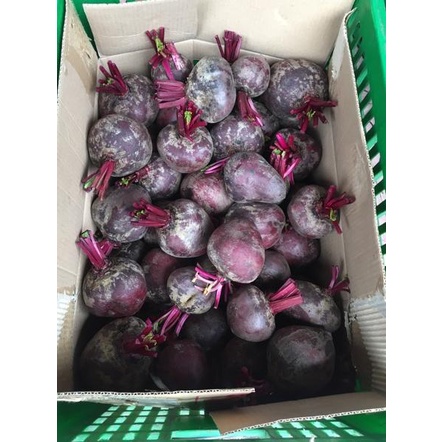 

Terbaruϟday Buah bit / organic beet root FRESH