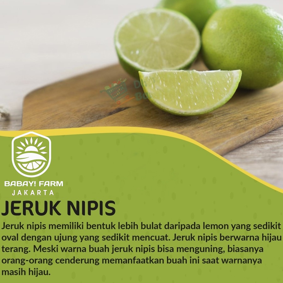 

Jeruk Nipis Pecel Segar / 250 500 gr 1 kg