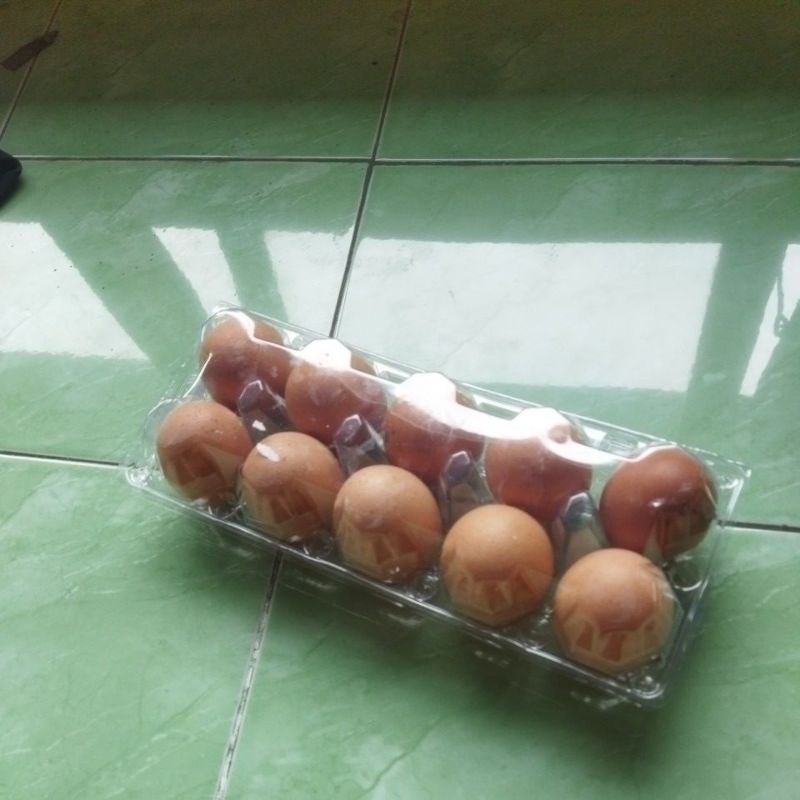 

telur ayam ras