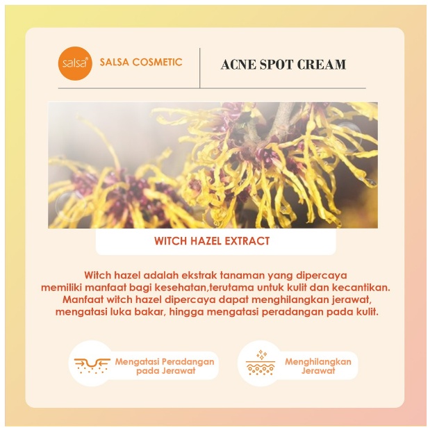 SALSA Acne Intensive Care Spot Cream - Obat Totol Jerawat
