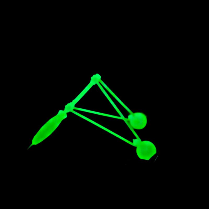 LATO LATO GAGANG JUMBO FULL FOSFOR NYALA DALAM GELAP