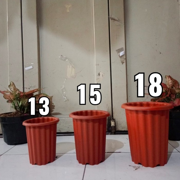 pot tinggi model yogap, pot Swiss warna, pot bunga tinggi, aglonema