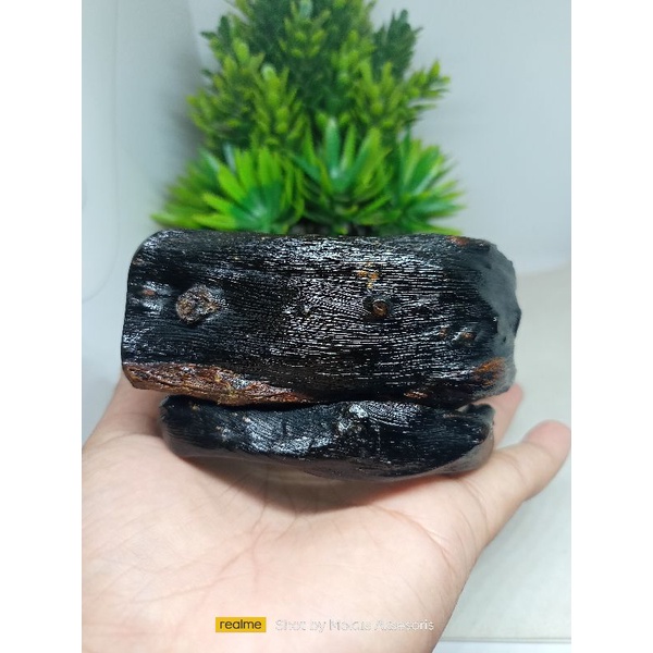 Gelang Akar Bahar Merah Natural Babon