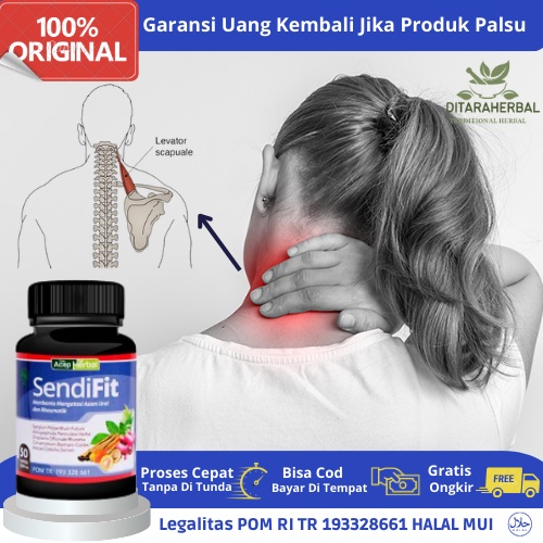 Obat Nyeri Leher, Obat Nyeri Leher Belakang, Obat Leher Kaku, Obat Leher Pegal, Otot Leher Tertarik,