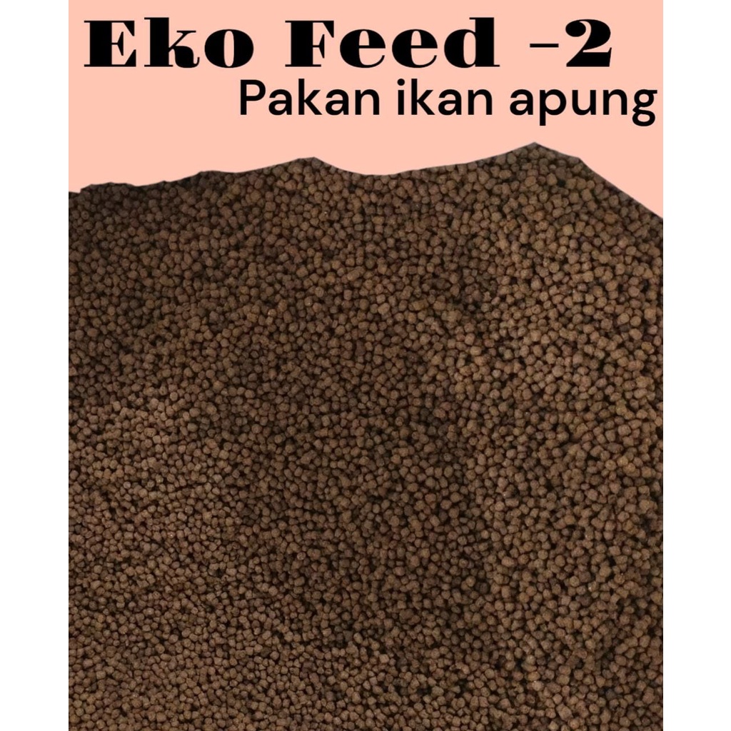 PELET APUNG EKO FEED -2 10 kg PAKAN Ikan Mas, Lele, Gurame, Bandeng