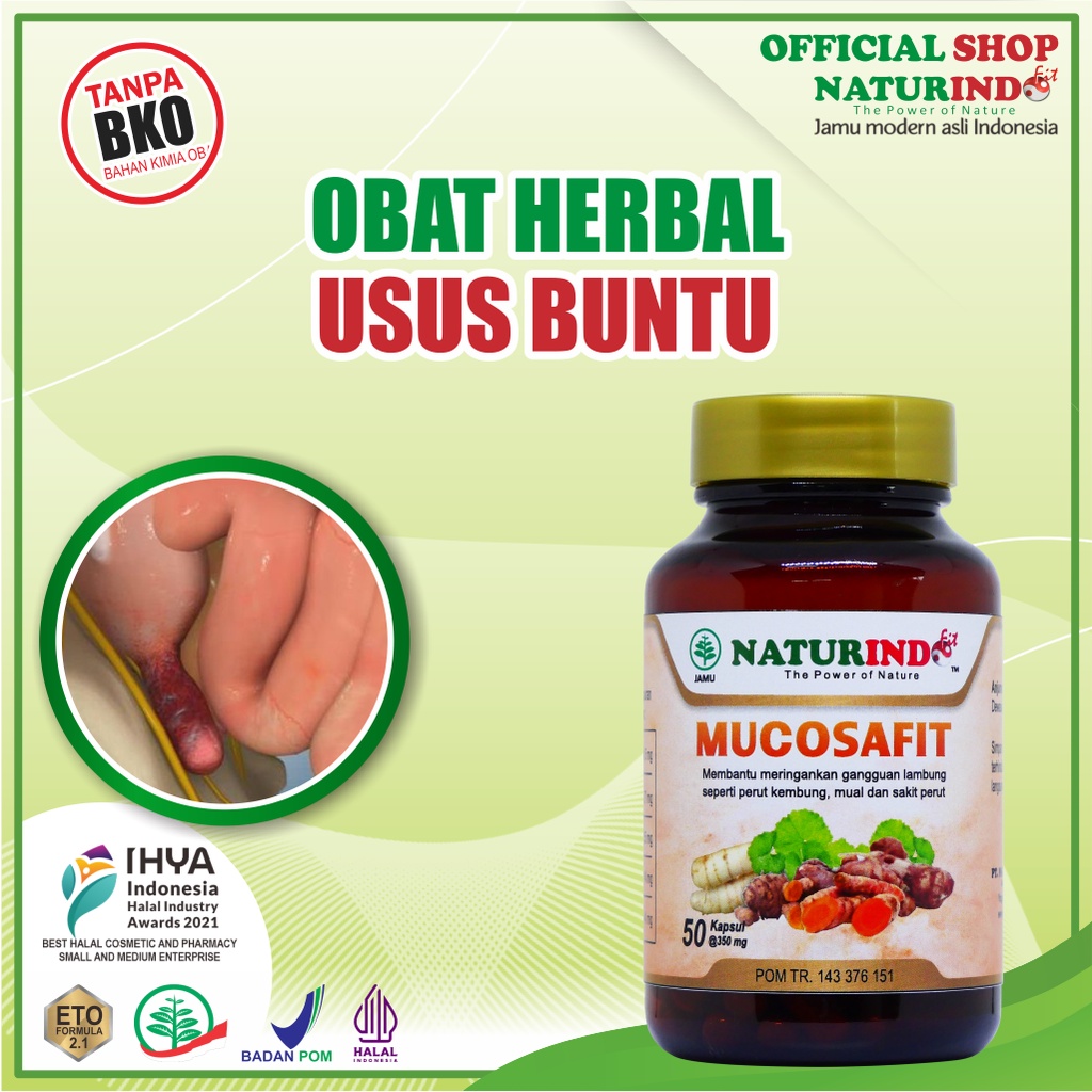 OBAT USUS BUNTU OBAT HERBAL USUS BUNTU RADANG INFEKSI USUS TANPA OPERASI ALAMI OBAT KANKER USUS MUCO