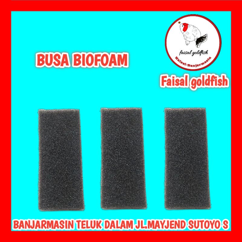Biofoam media filter