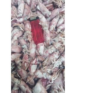 

✸ PROMO Cumi Asin beby 1kg/beby cumi asin /cumi asin rebus kecil ✈