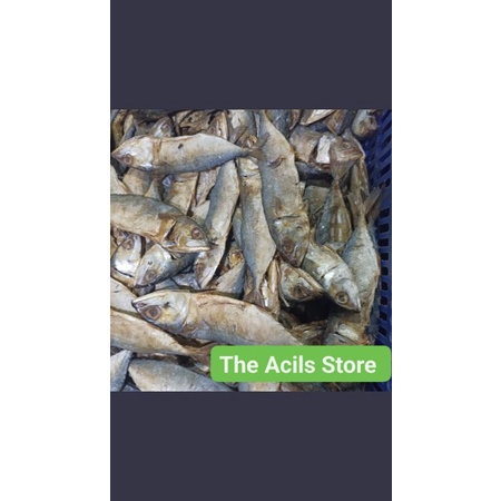 

Ikan Asin Peda 500gr Ikan Kering Iwak Karing khas Kalimantan Khas Banjar