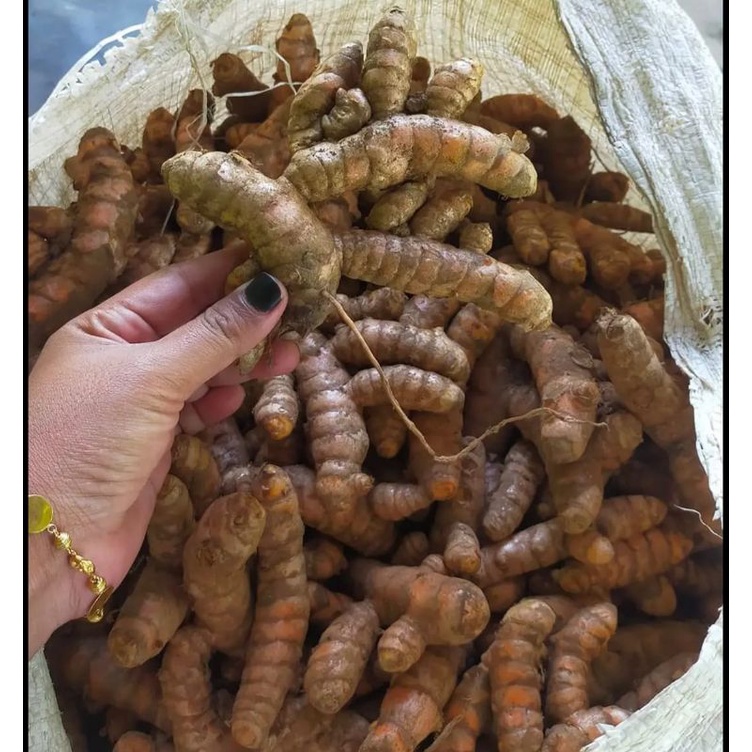 

kunir/kunyit super 1kg