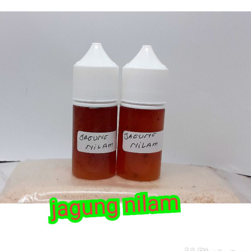 ESSEN OPLOSAN JAGUNG NILAM