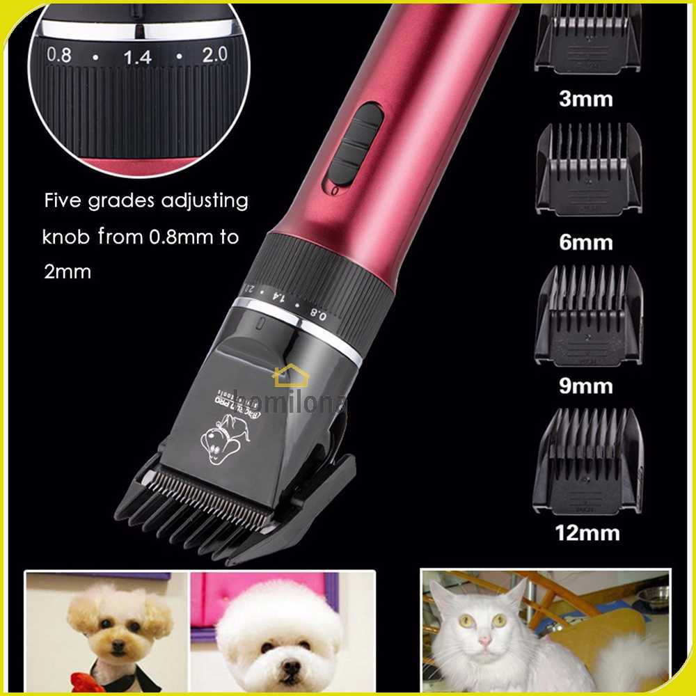 BaoRun Pro Alat Cukur Elektrik Bulu Hewan Pet Dog Clipper - P6