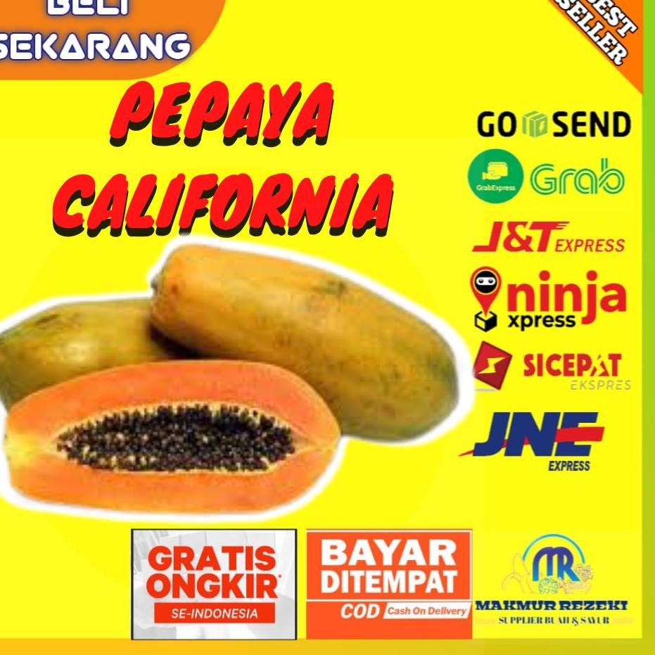 

Dijamin Ori>/ BUAH PEPAYA CALIFORNIA CALINA LOKAL MANIS SEGAR MATANG HARGA PER BUAH UKURAN 1.2-1.5 KG