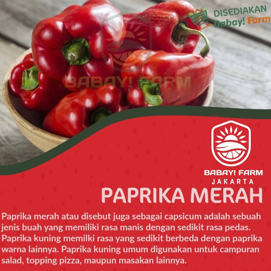 

Paprika Merah