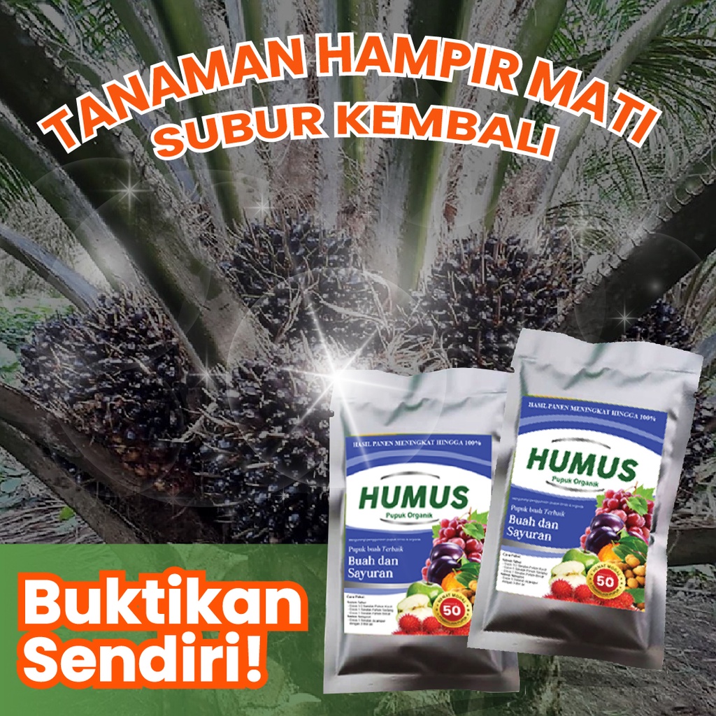 Pupuk Humus Organik 100% Mengahsilkan