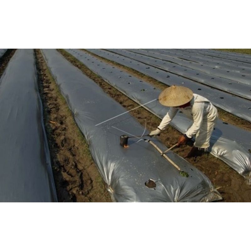 MULSA HITAM PERAK - MULSA BEDENGAN - LEBAR 160 CM - KEMASAN 1 kg