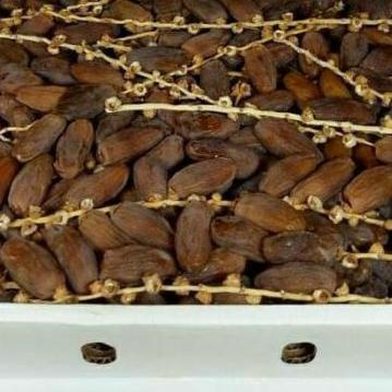 

♠ Kurma fruit Tunisia tangkai ukuran 1kg exp2024 ☂