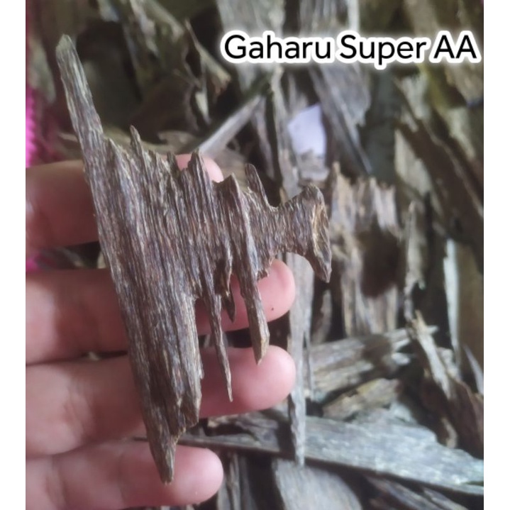 (TERBAIK TERMURAH) Kayu Gaharu Super Aquilaria Malaccensis Gaharu Asli Kalimantan Buhur Bukhur Dupa 