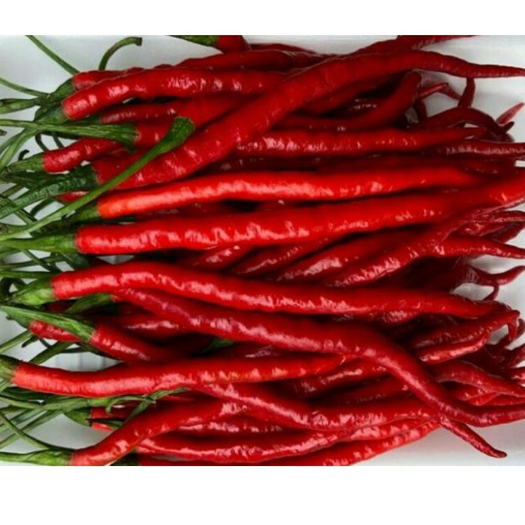 

✈ Cabe merah keriting 1 kg ۩
