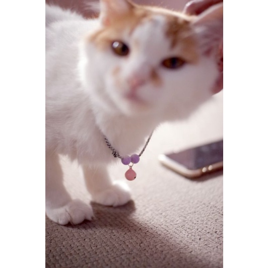 KALUNG KUCING CUSTOM NAMA TERMURAH (REQUEST NAMA KUCINGMU)