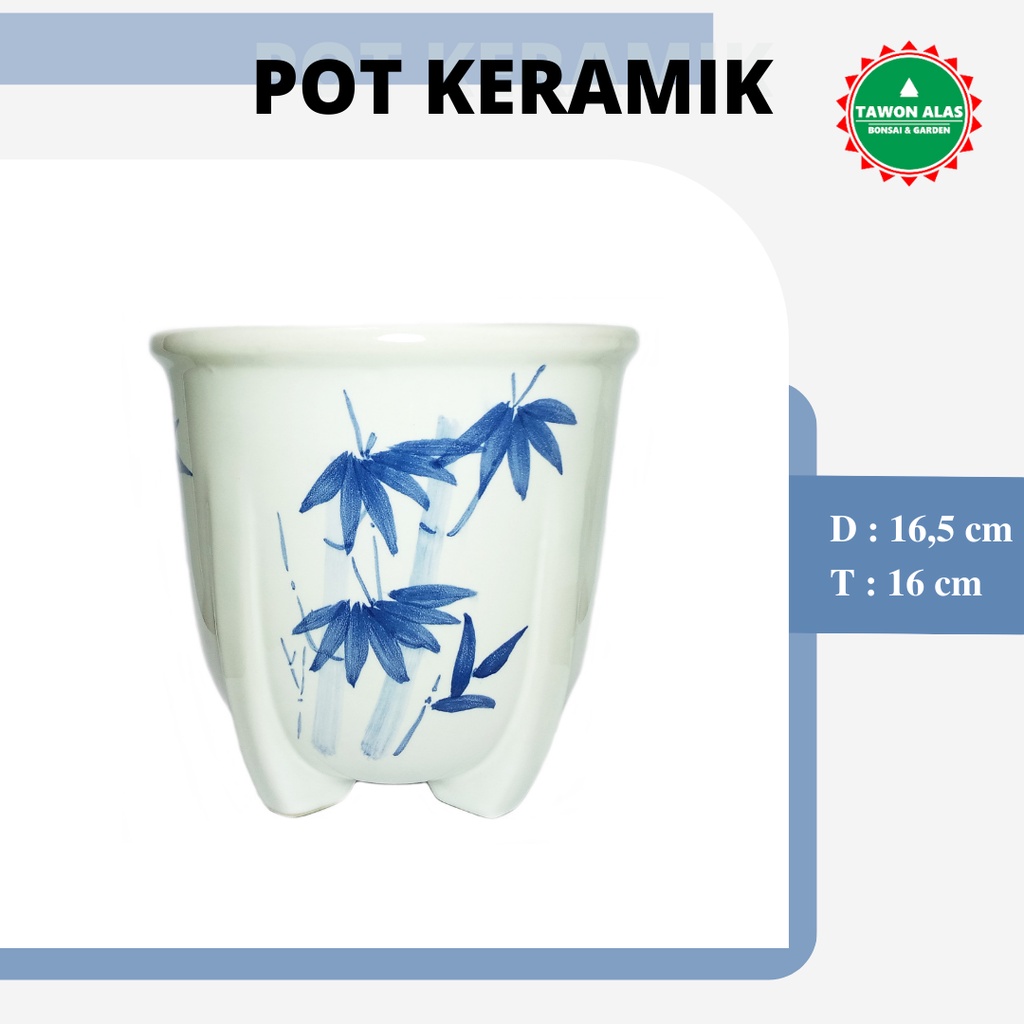 Pot Bonsai Keramik Bundar Tinggi Kaktus Sukulen