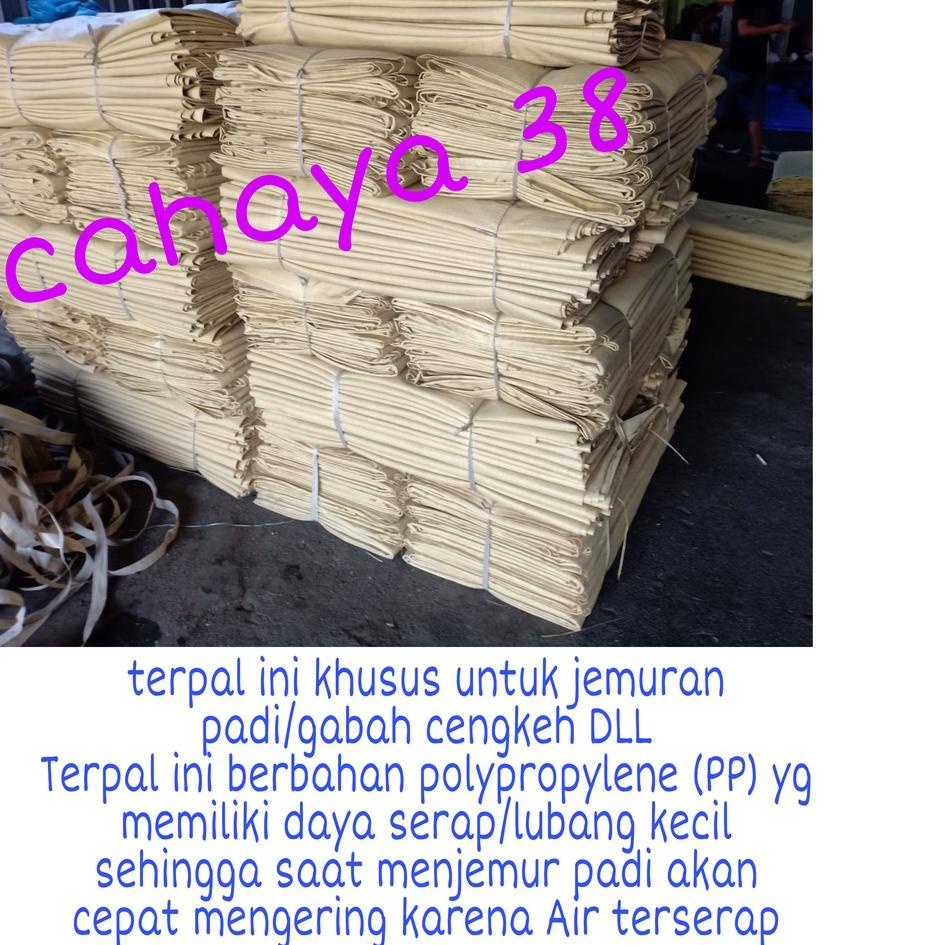 ➱ Terpal Hamparan3x4 khusus jemur padi/gabah ☈