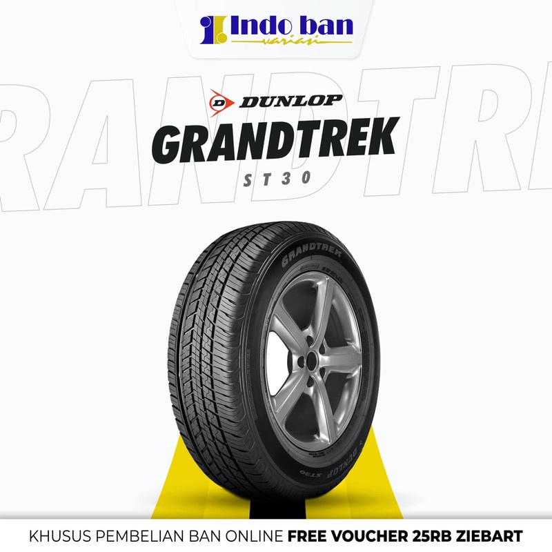 Ban Dunlop ST 30 225/65 HR 17 R17