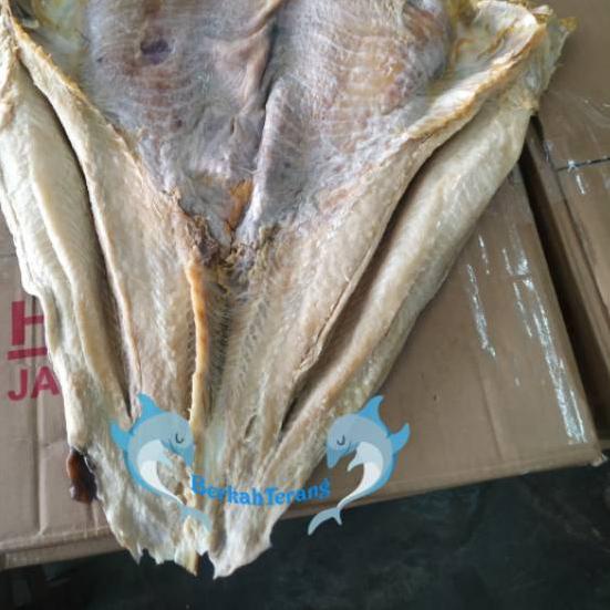 

Diskon / Ikan Asin Jambal Roti Daging POTONG 250GR / jambal Super TERMURAH!...