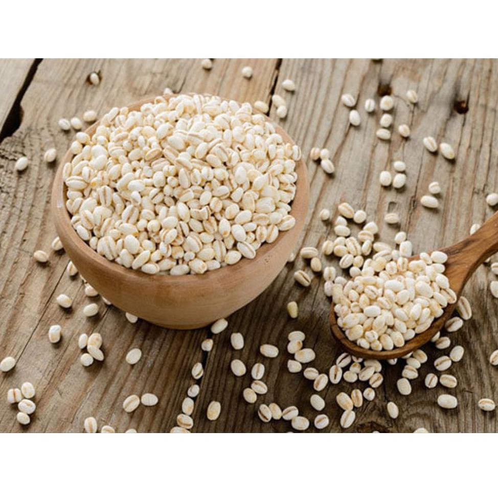 

Best Terlaris Biji Jali-Jali Pearl Barley Biji Jali khasiat buat Kesehatan jali jali 500g T82