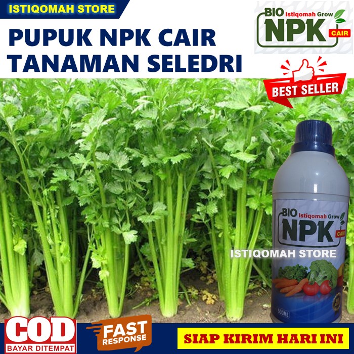 Pupuk Daun Seledri Terbaik ISTIQOMAH GROW 500ML Pupuk NPK Cair untuk Tanaman Seledri yang Bagus Daun Lebat - Pupuk Buat Menyuburkan Daun Seledri - Pupuk Cair Penyubur Tanaman Seledri - Pupuk Pelebat Daun Seledri - Pupuk Untuk Tanaman Sayuran Daun Seledri