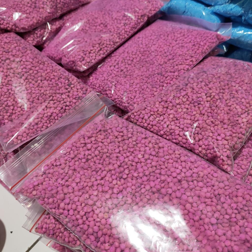 Promo ( 1kg ) Bibit Sorgum Bioguma I Benih Sorgum Bioguma | Sorghum Best Seller