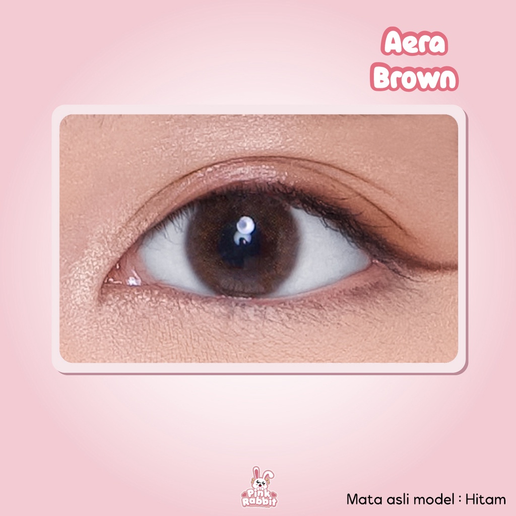 Pink Rabbit Softlens Minus Aera Soflens Brown