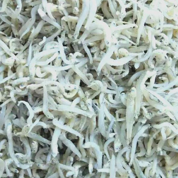 

♘ Ikan Teri Toge ➹