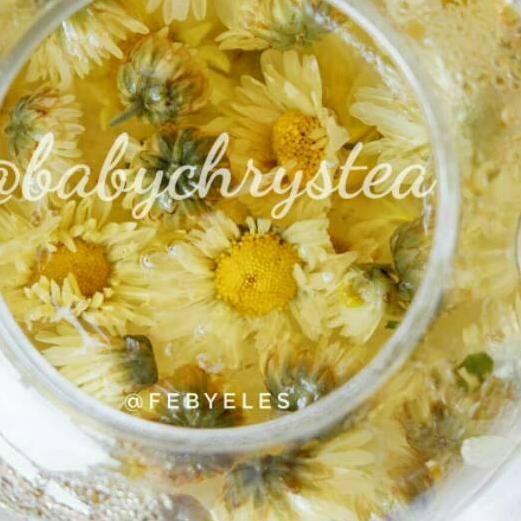 

☟ Chrysanthemum Tea ☎