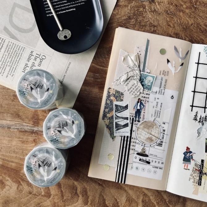 

Somesortof.fern Travel Around PET Tape