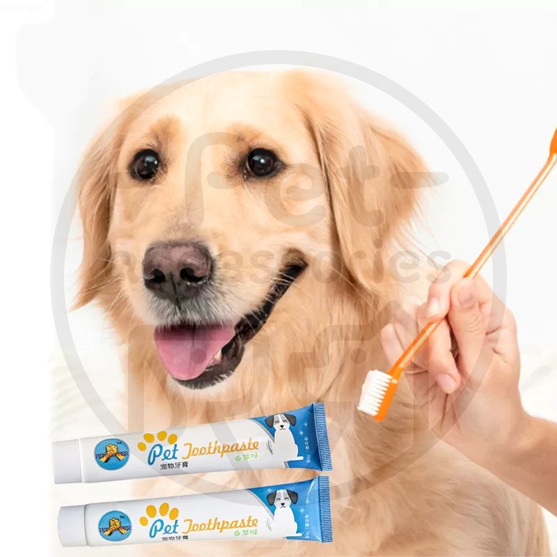 3in1 Set Sikat Gigi Dan Odol Sikat Gigi Kucing Anjing Dan Odol