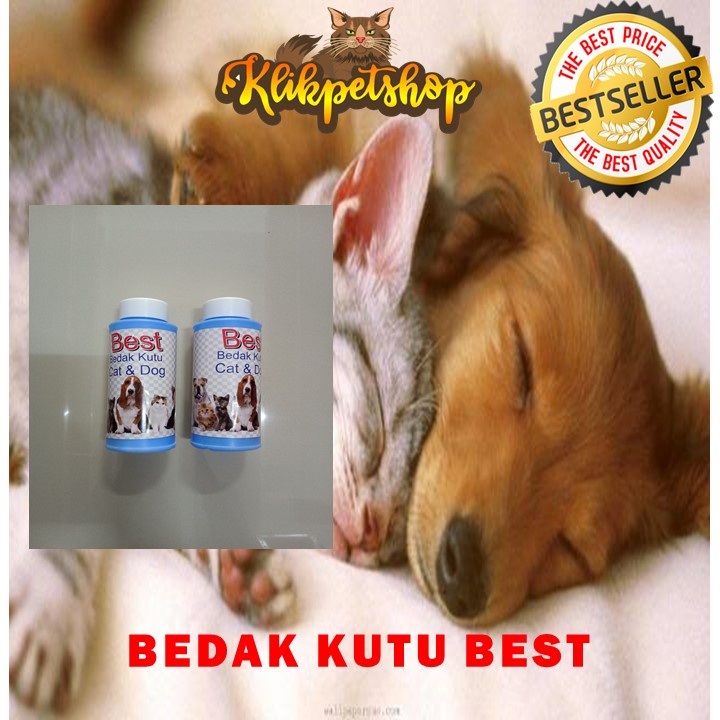 Bedak Kutu Anjing Kucing Best Wangi