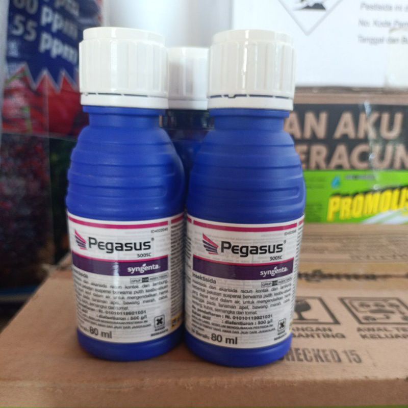 PEGASUS 500sc insektisida akarisida